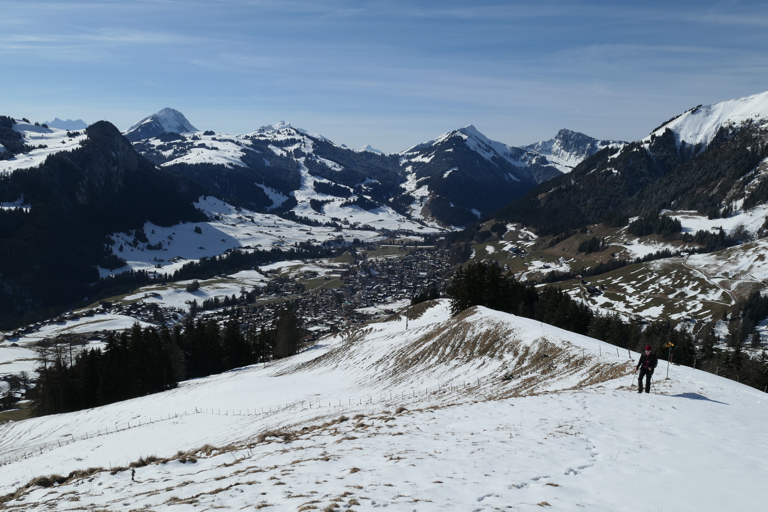 p1020159.jpg
