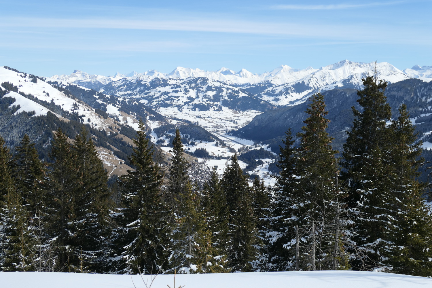 p1020164.jpg