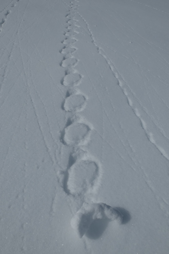 p1020169.jpg