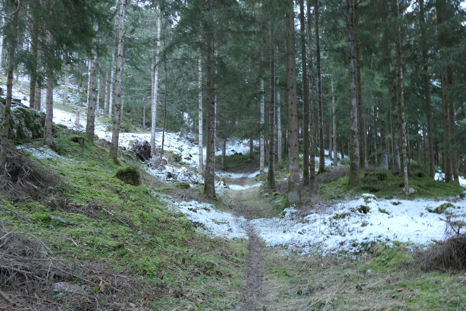 p1020180.jpg