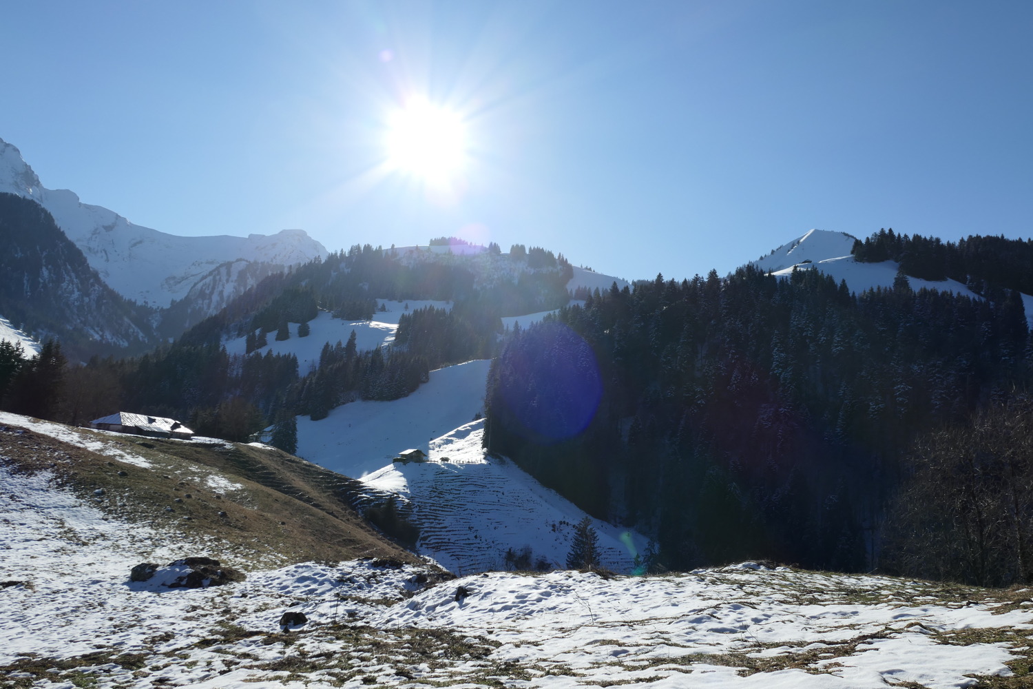 p1020181.jpg