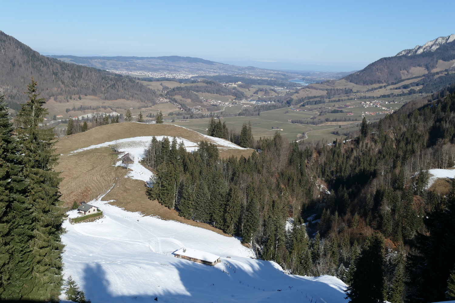 p1020183.jpg