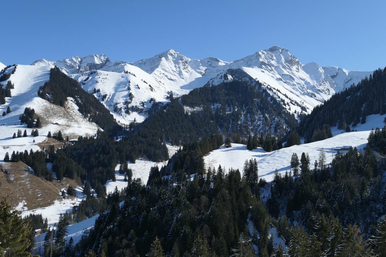 p1020186.jpg