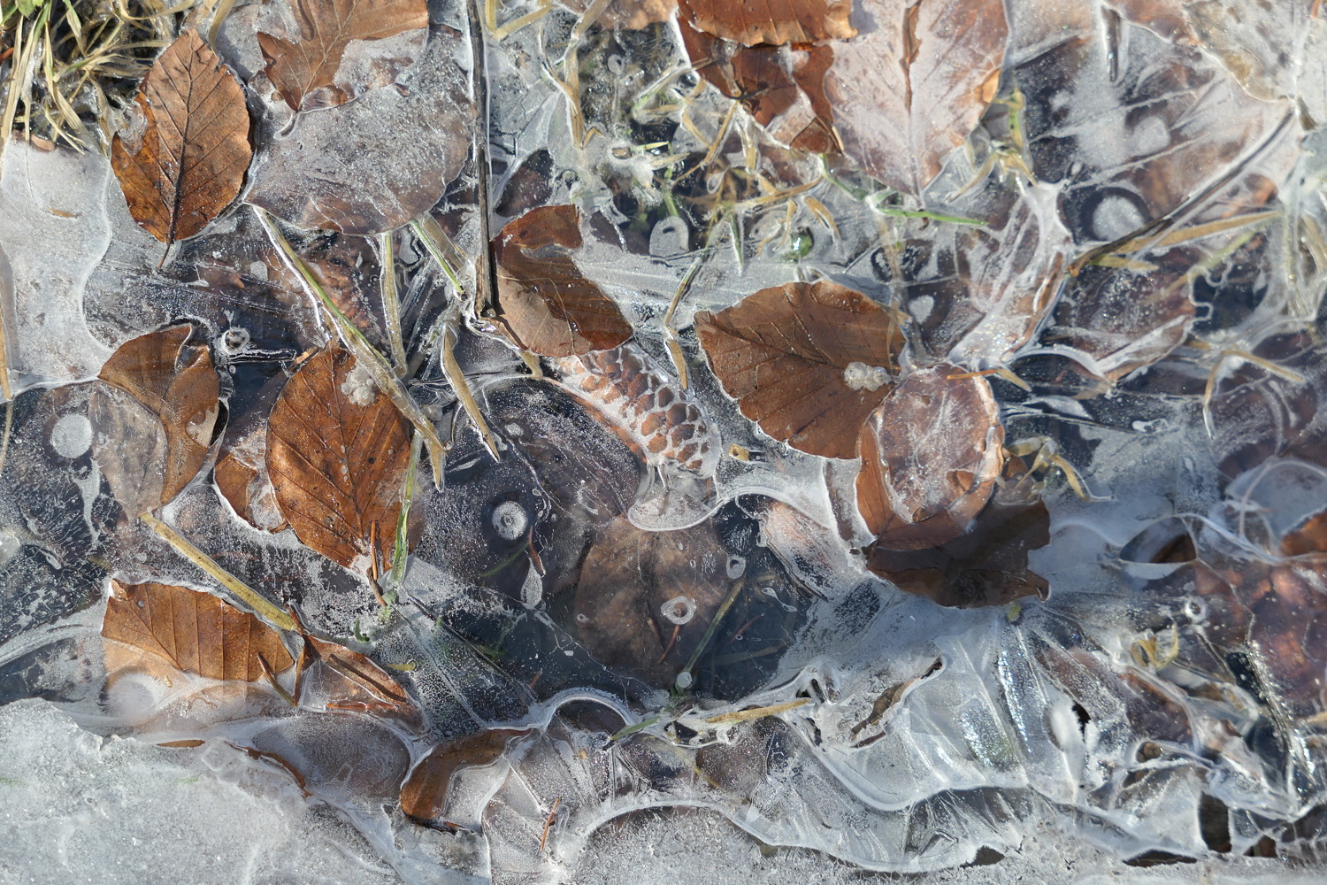 p1020189.jpg