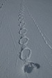 p1020169.jpg