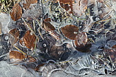 p1020189.jpg
