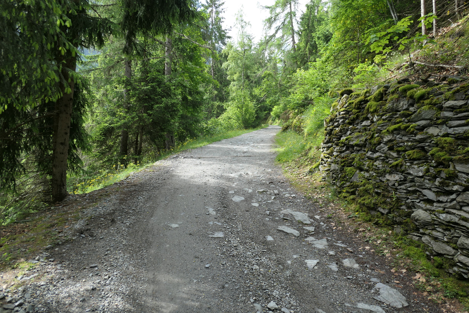 p1020800.jpg