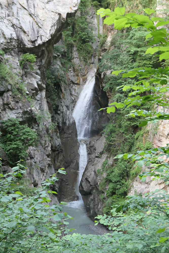 p1020821.jpg