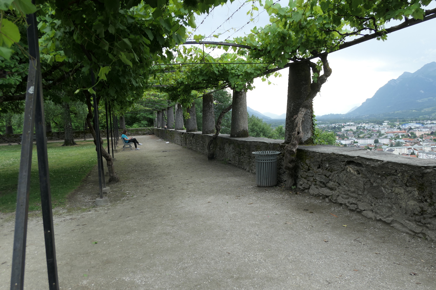p1020853.jpg