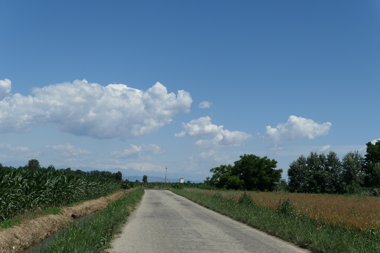 p1020974.jpg