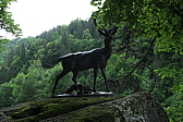 p1020823.jpg