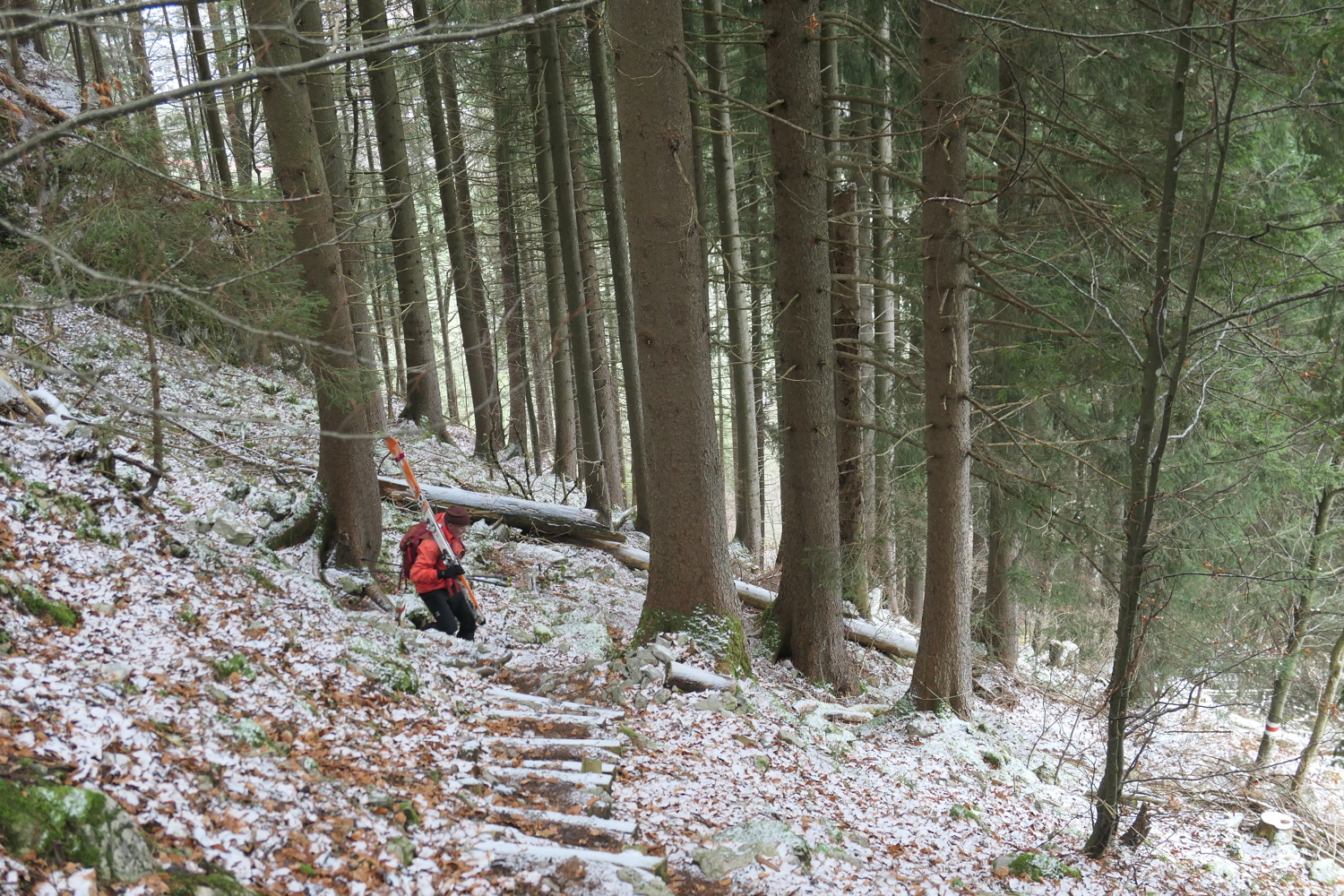p1040777.jpg