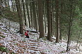 p1040777.jpg