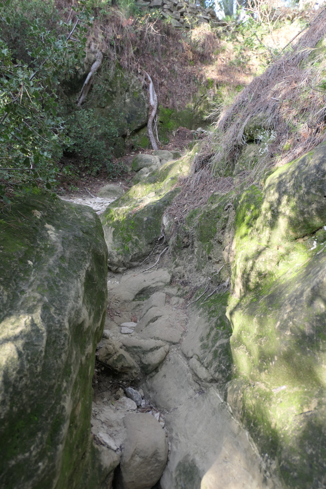 p1050010.jpg