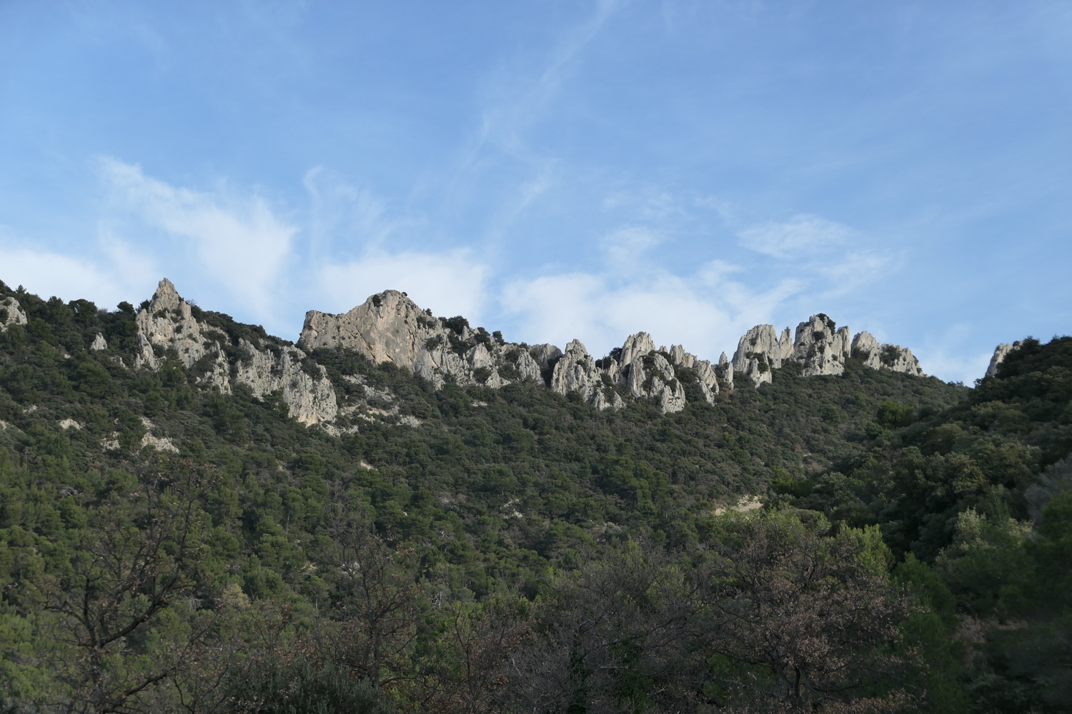 p1050015.jpg