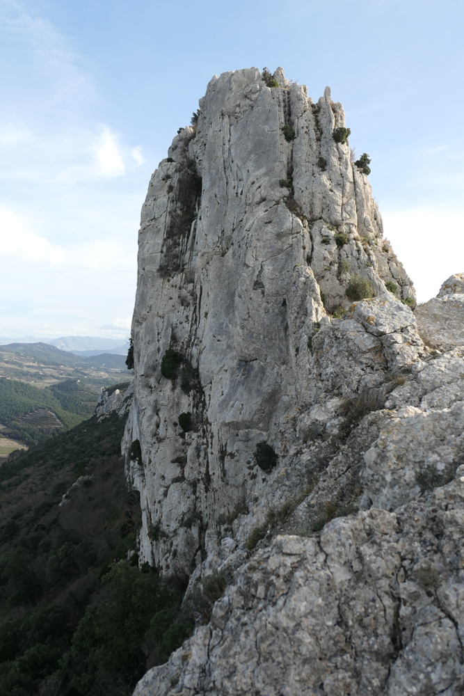p1050020.jpg