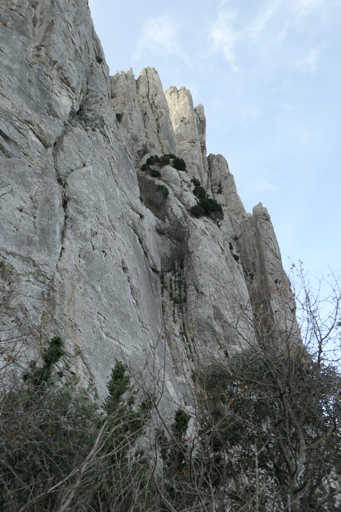 p1050027.jpg