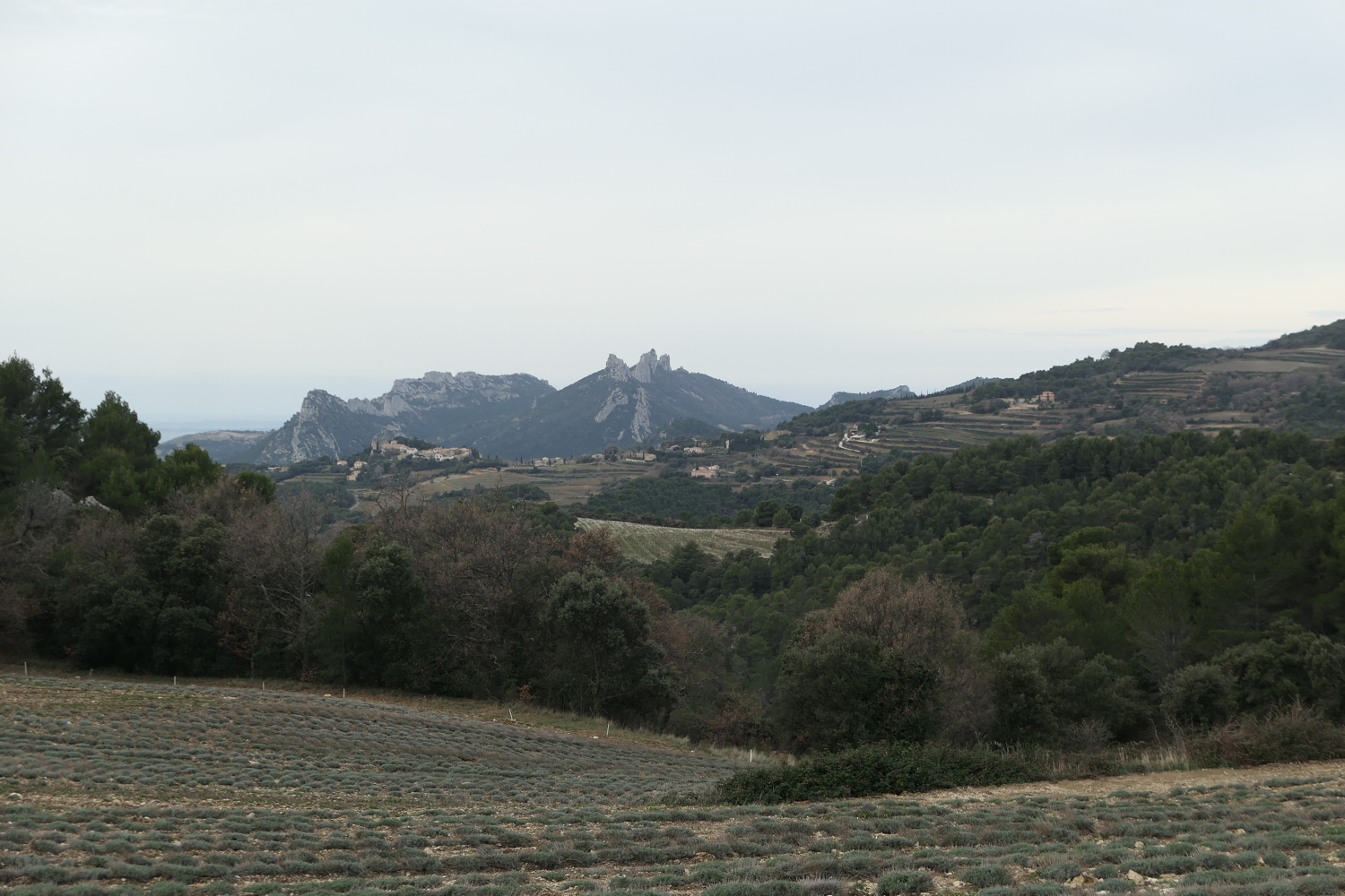 p1050038.jpg