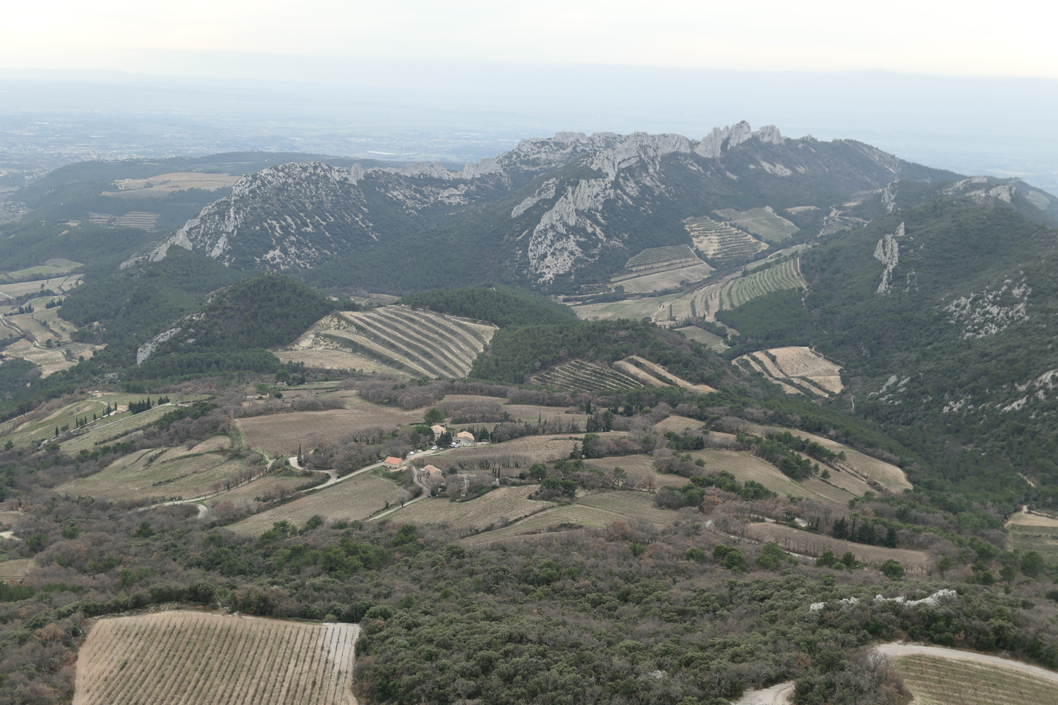 p1050041.jpg