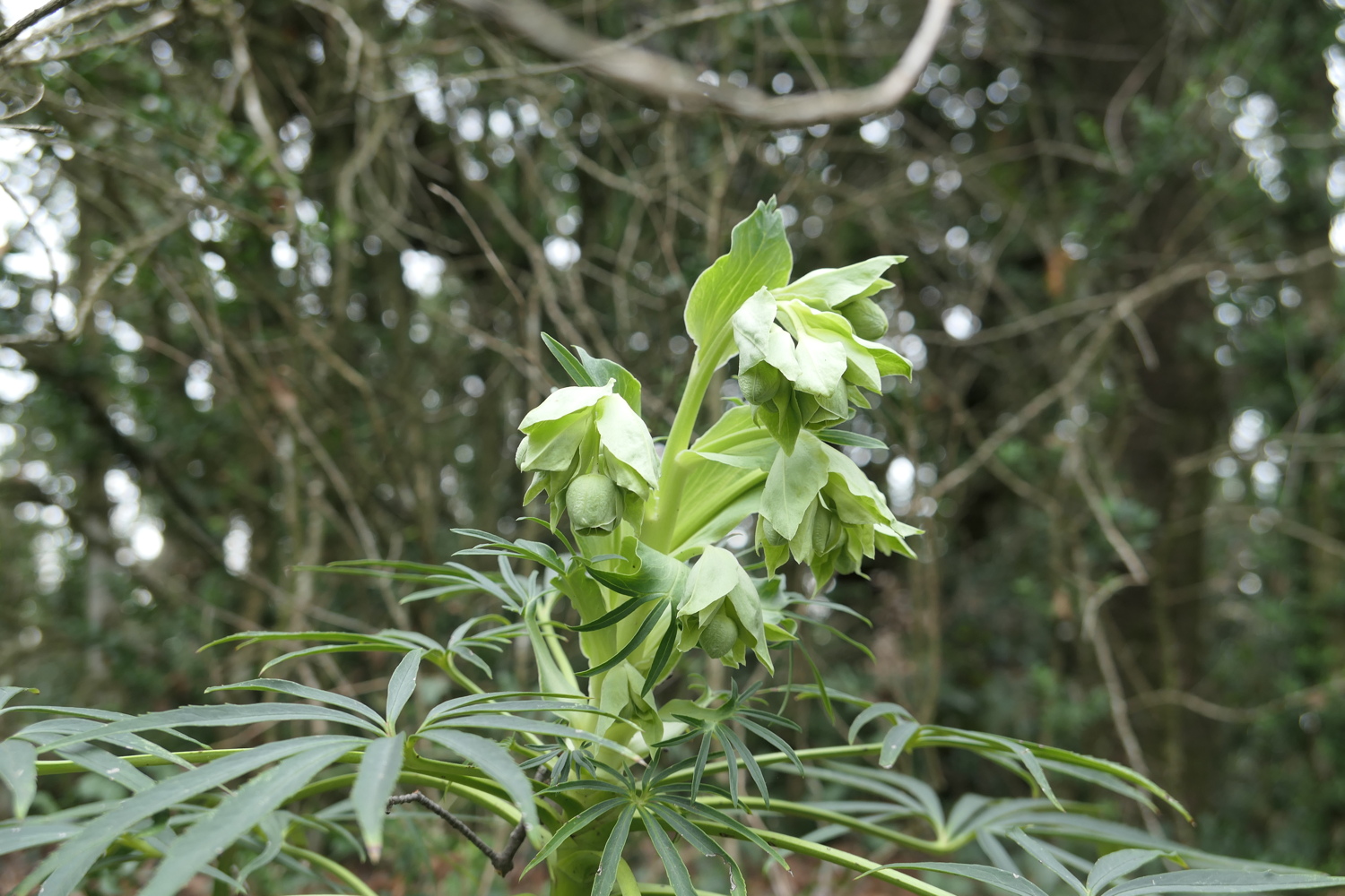 p1050044.jpg