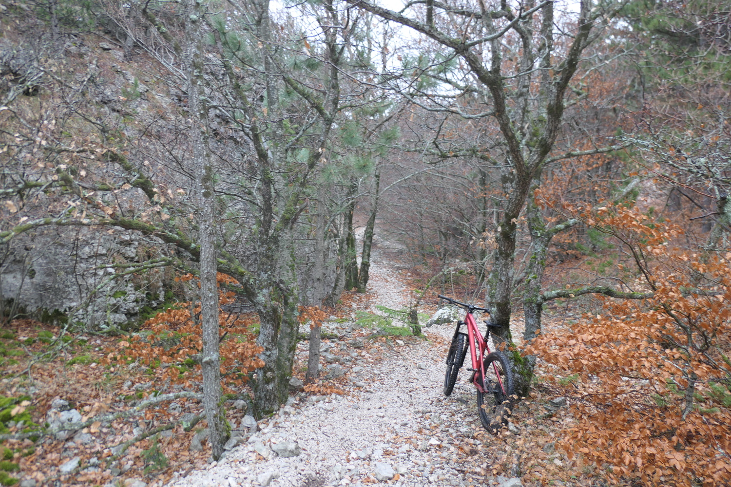 p1050060.jpg