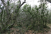 p1050043.jpg