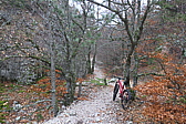 p1050060.jpg