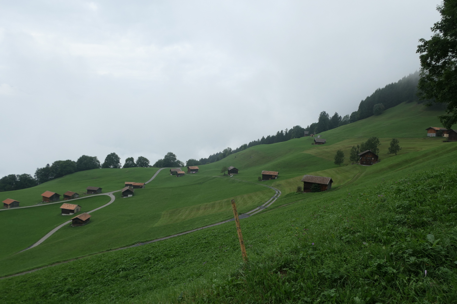 p1030543.jpg