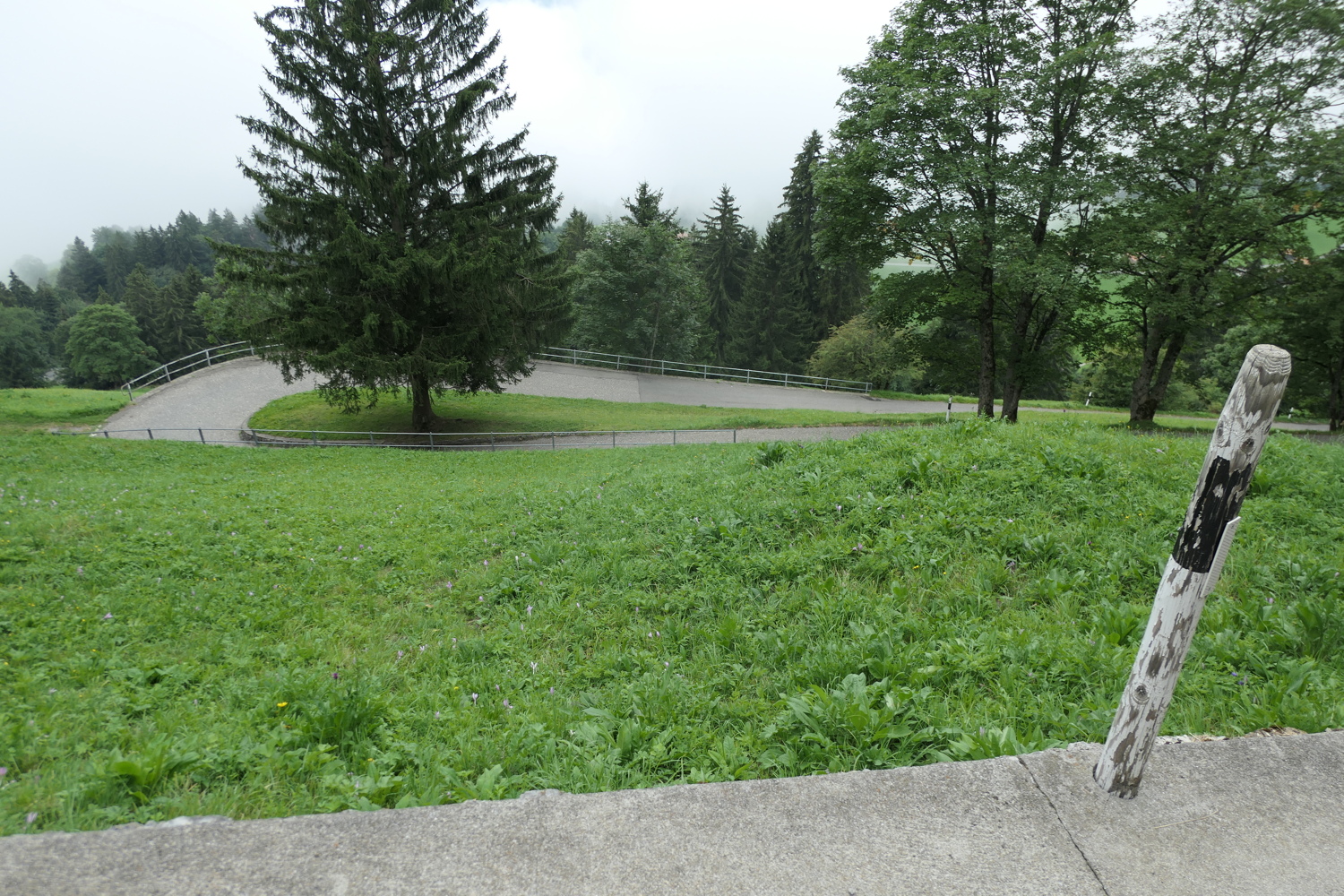 p1030544.jpg