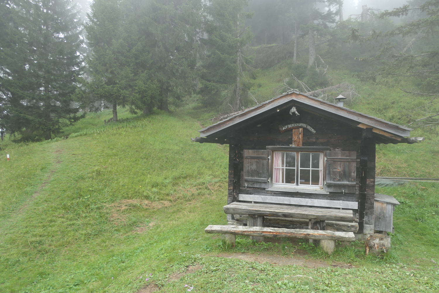 p1030547.jpg