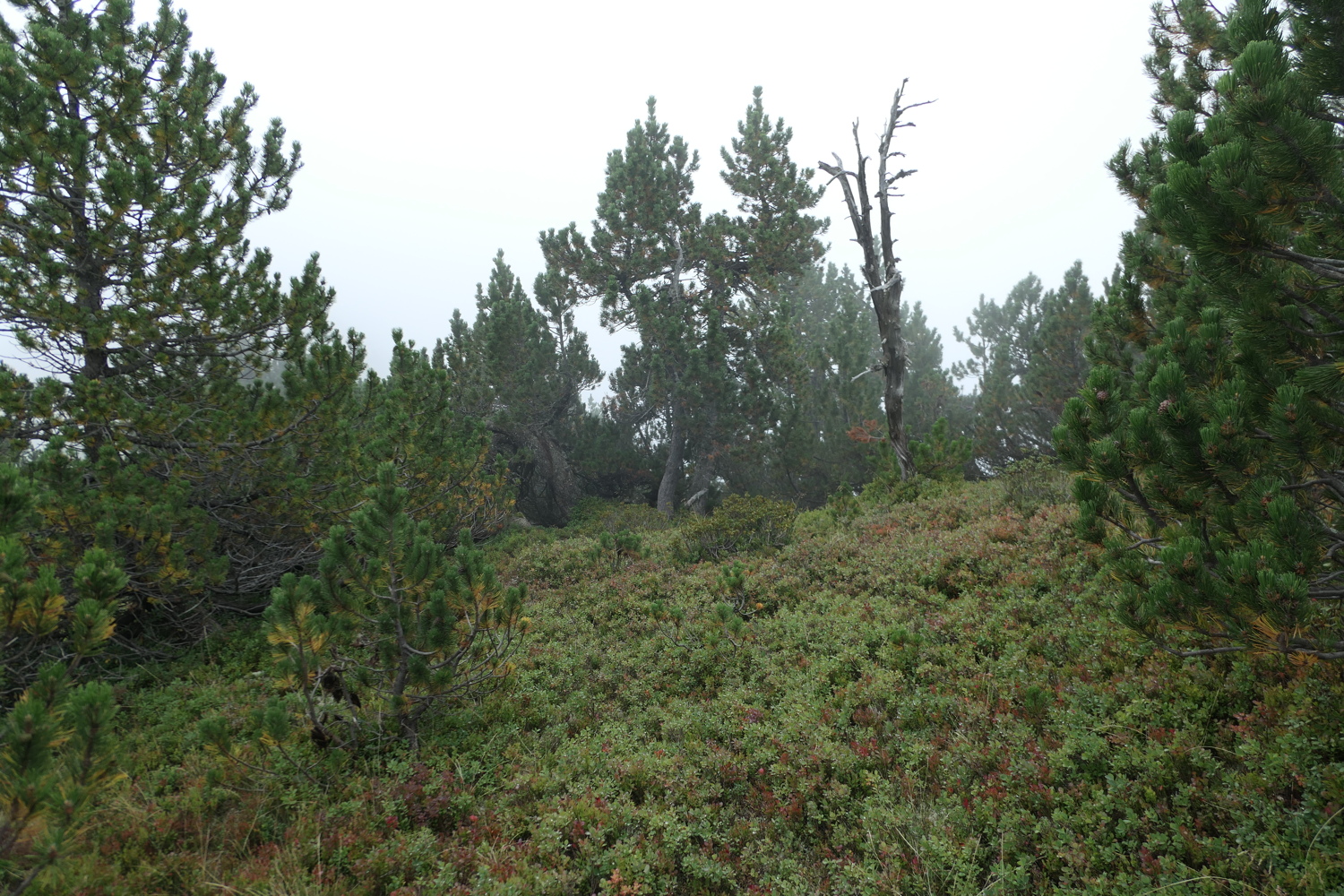 p1030550.jpg
