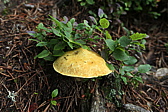 p1030548.jpg