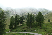 p1030557.jpg