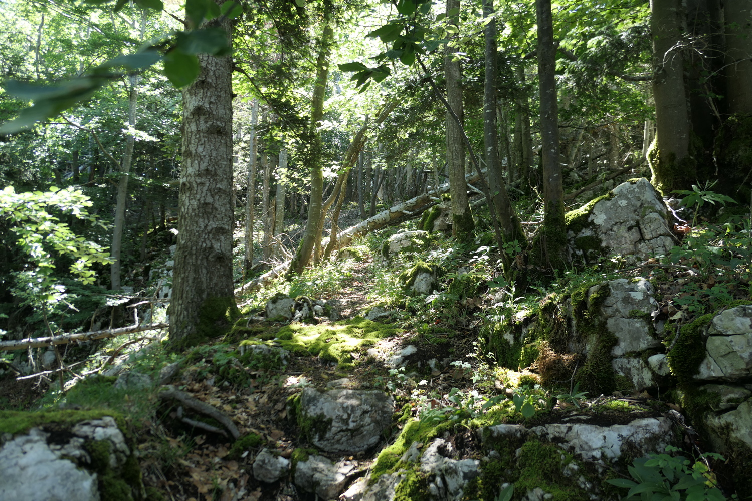 p1030121.jpg