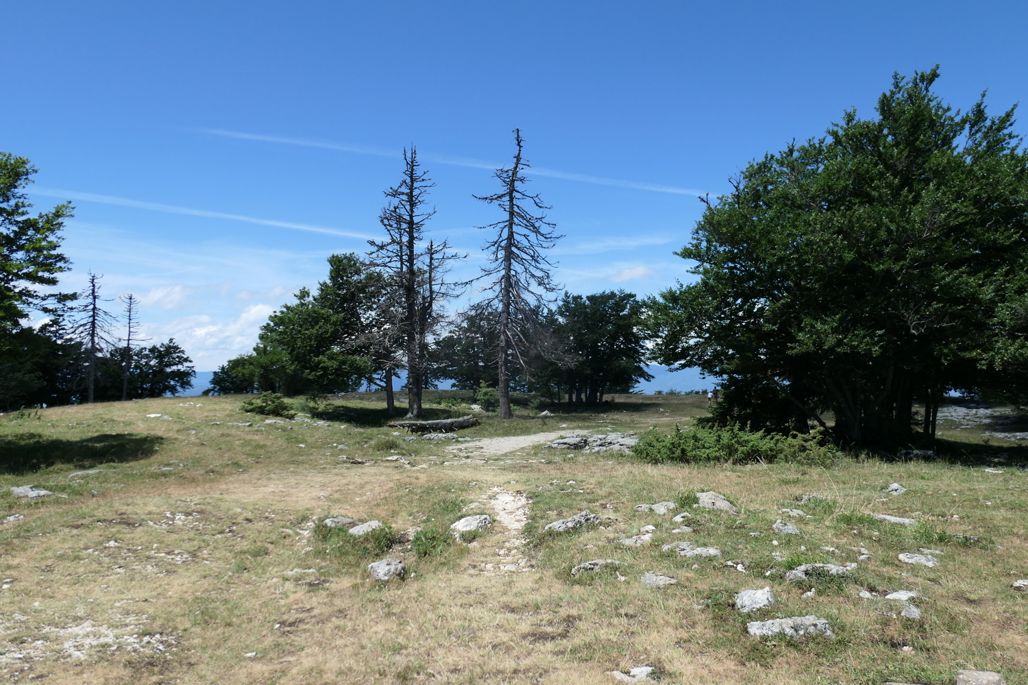p1030143.jpg