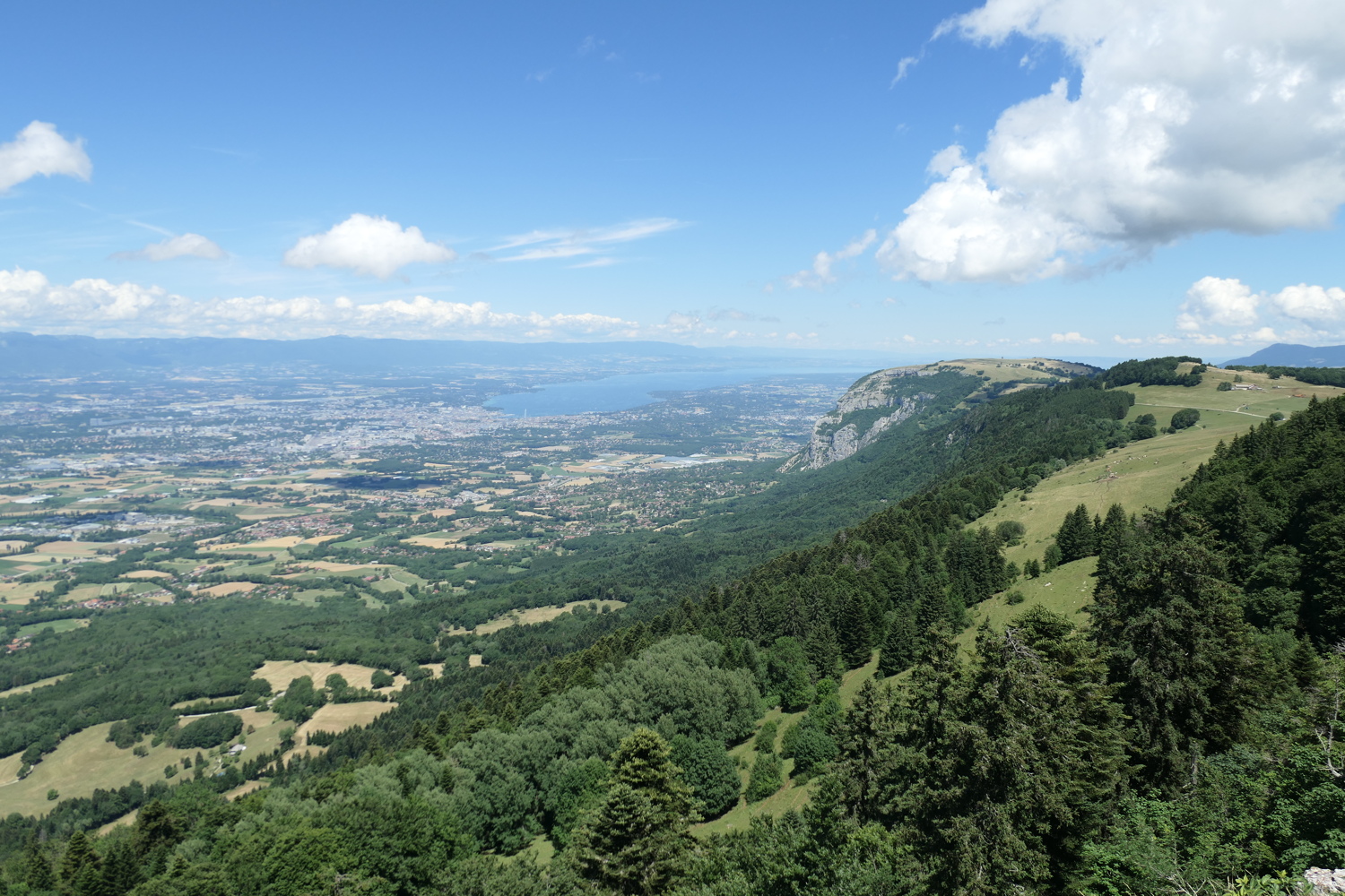 p1030145.jpg