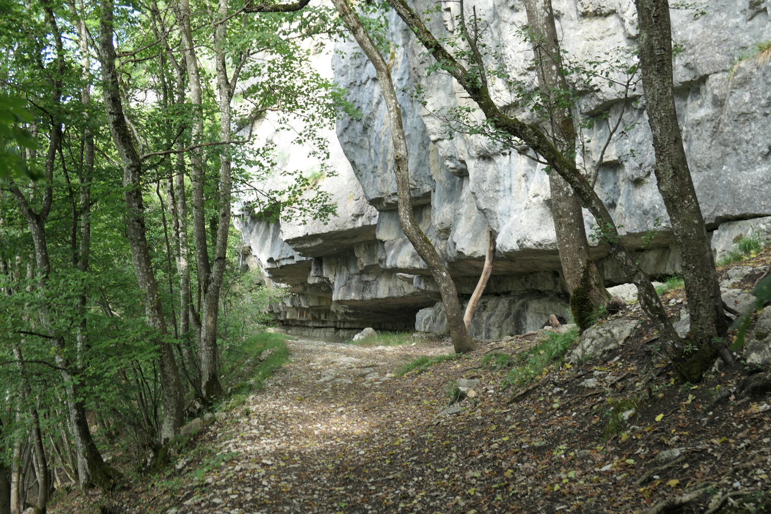 p1030162.jpg
