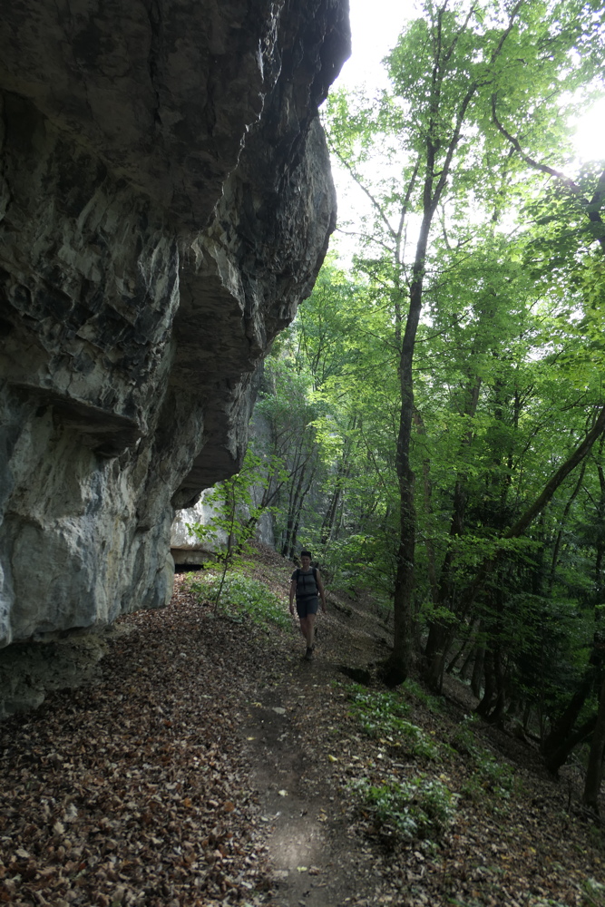 p1030165.jpg