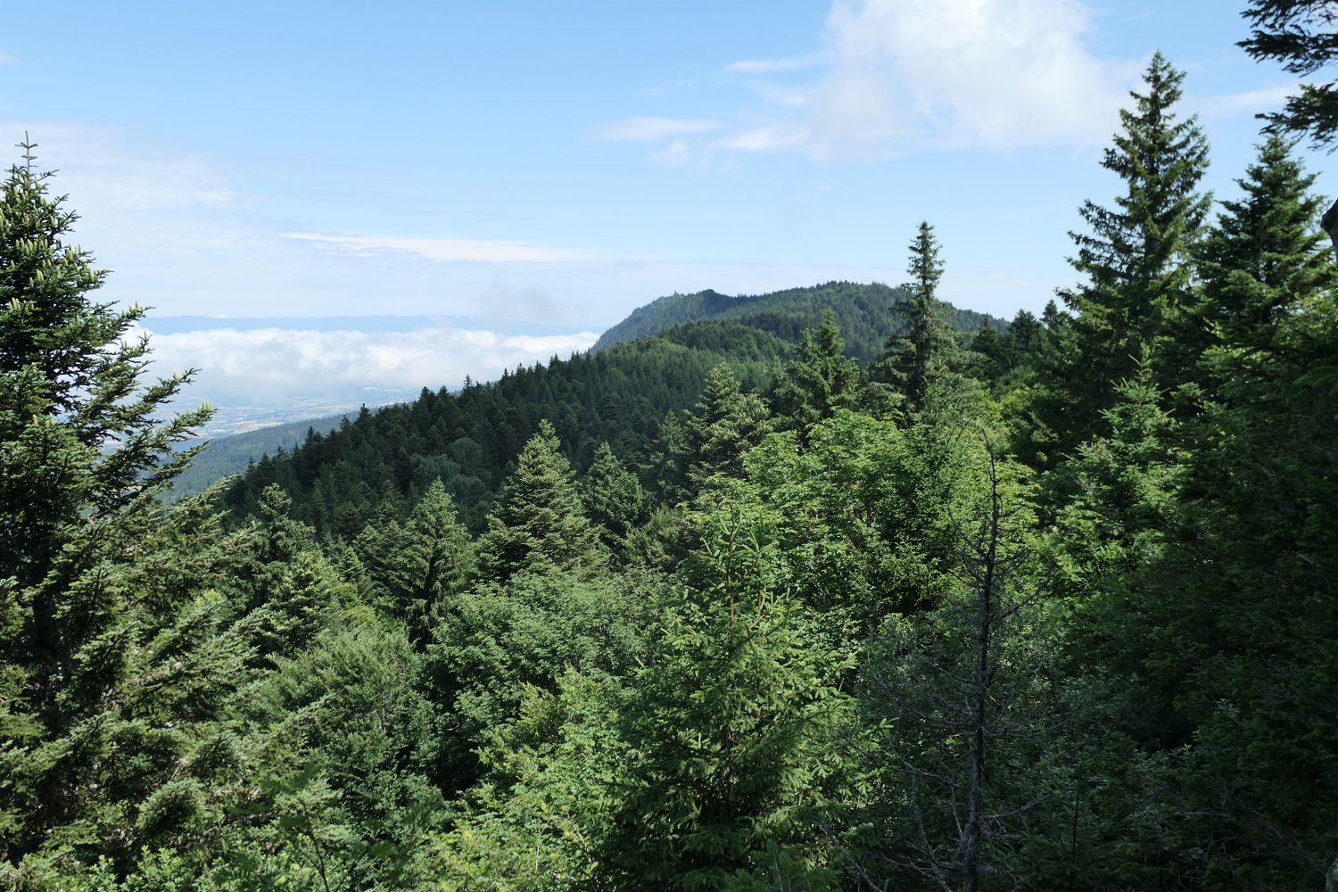 p1030169.jpg