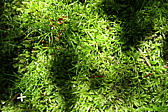 p1030141.jpg