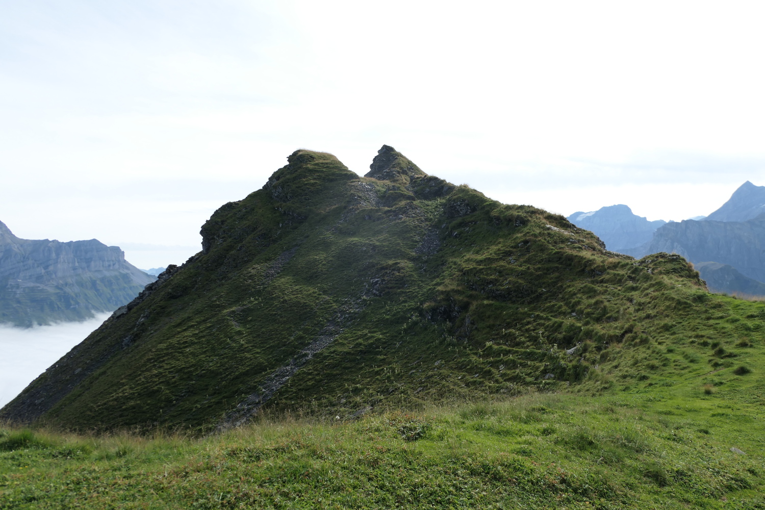 p1030466.jpg