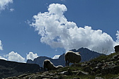 p1030476.jpg