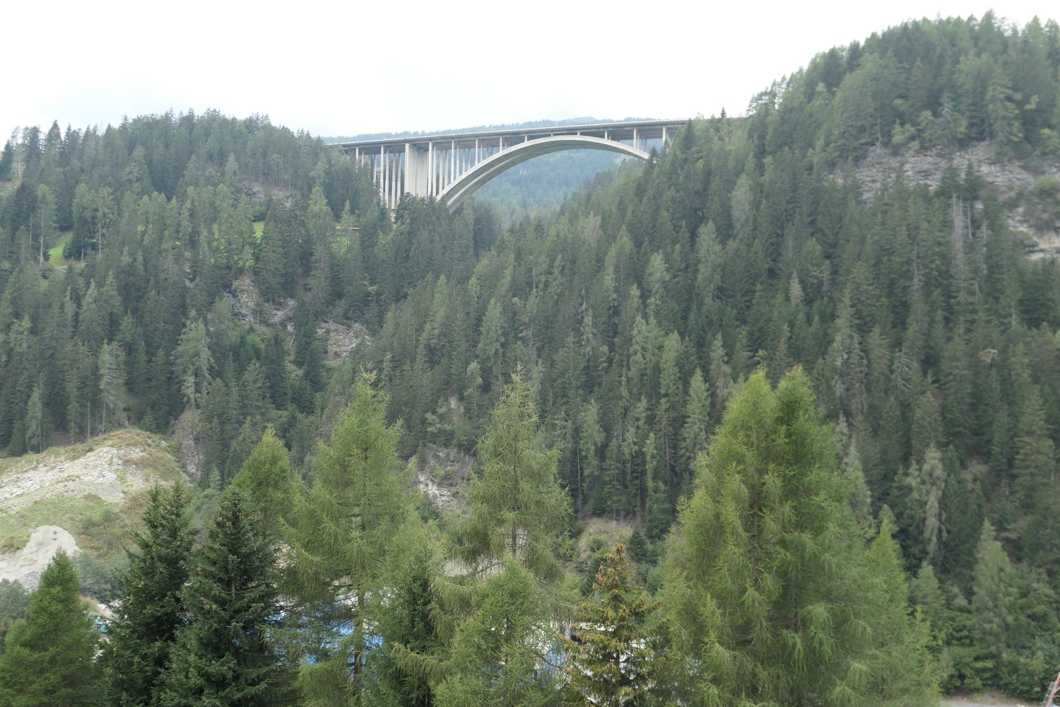 p1030642.jpg