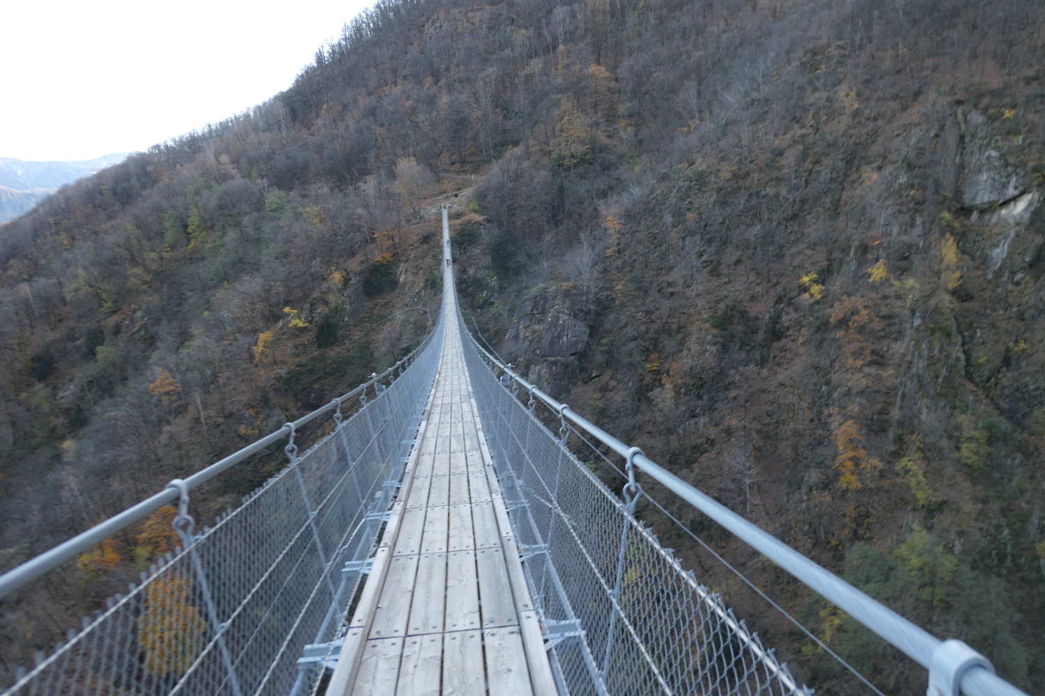 p1040710.jpg