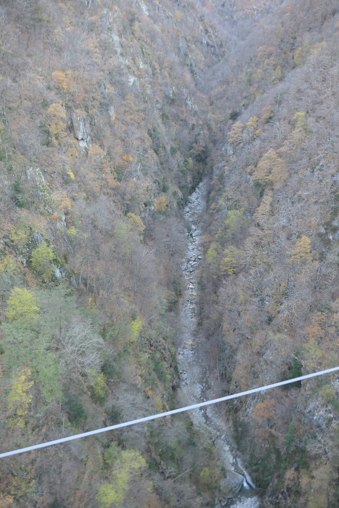 p1040713.jpg