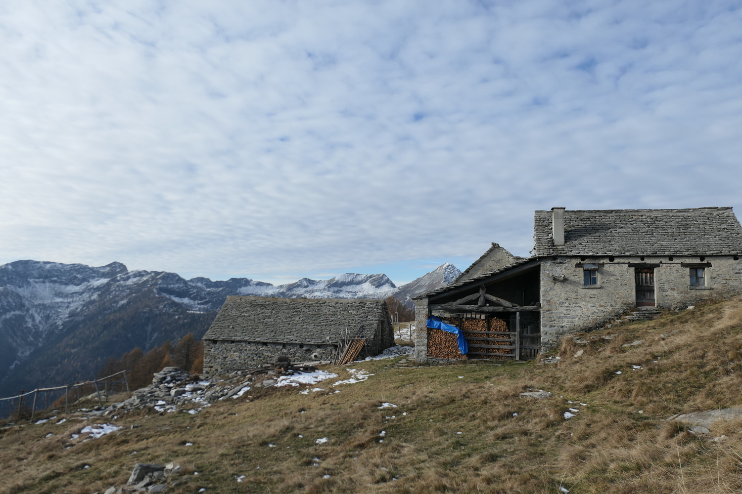p1040719.jpg