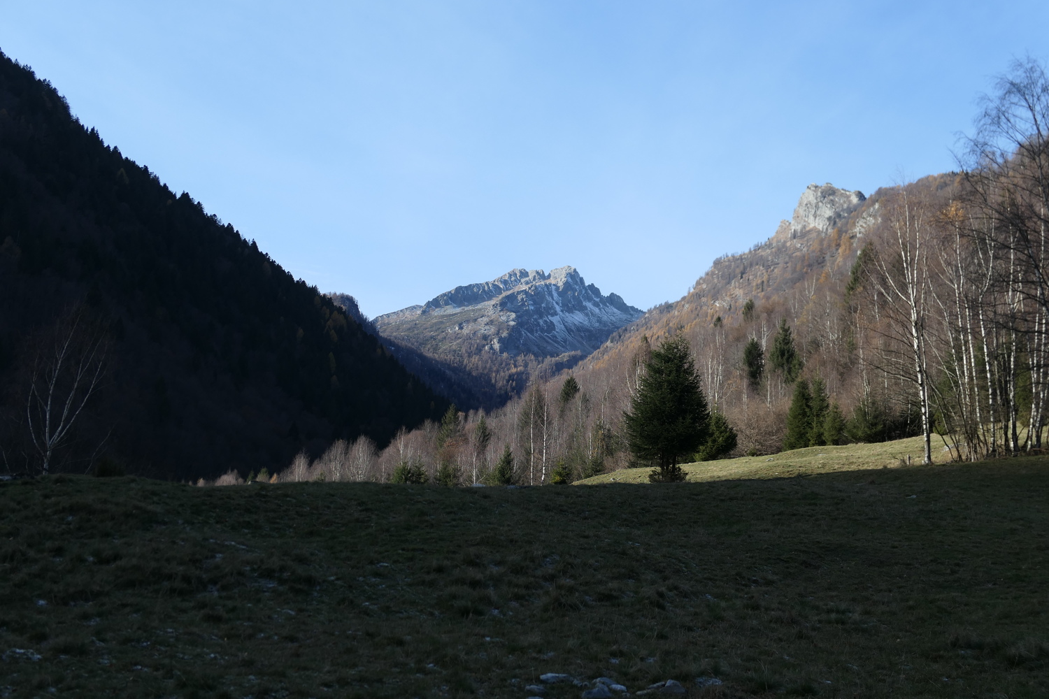 p1040741.jpg