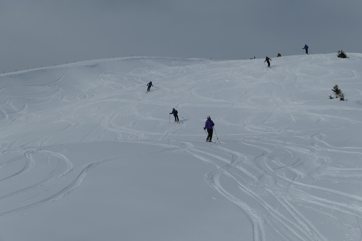 p1020147.jpg