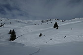 p1020139.jpg
