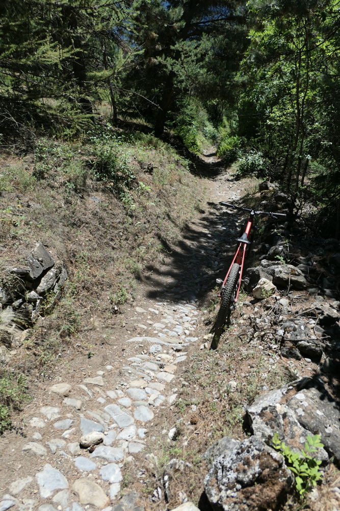 p1030347.jpg